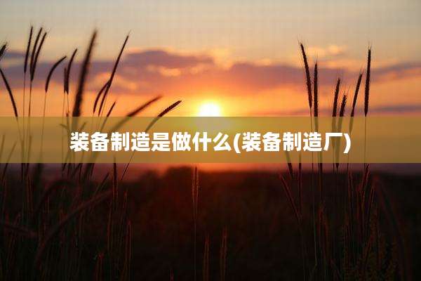 装备制造是做什么(装备制造厂)