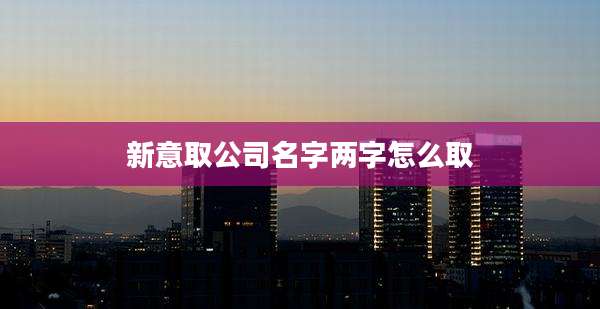 新意取公司名字两字怎么取