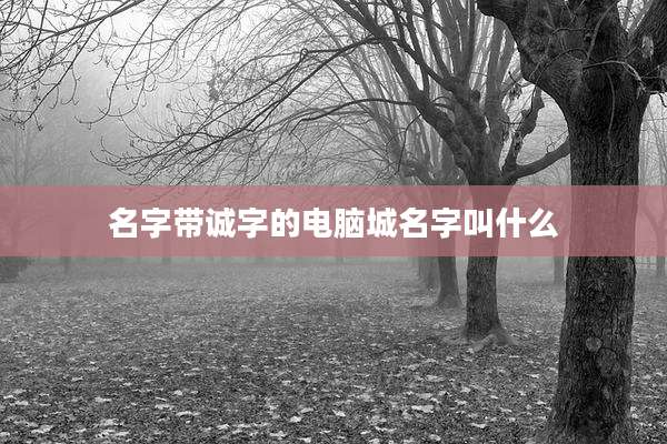 名字带诚字的电脑城名字叫什么