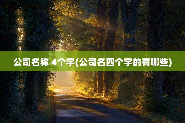 公司名称 4个字(公司名四个字的有哪些)