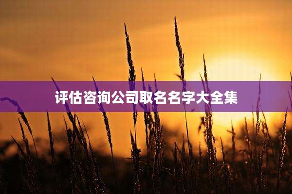 评估咨询公司取名名字大全集