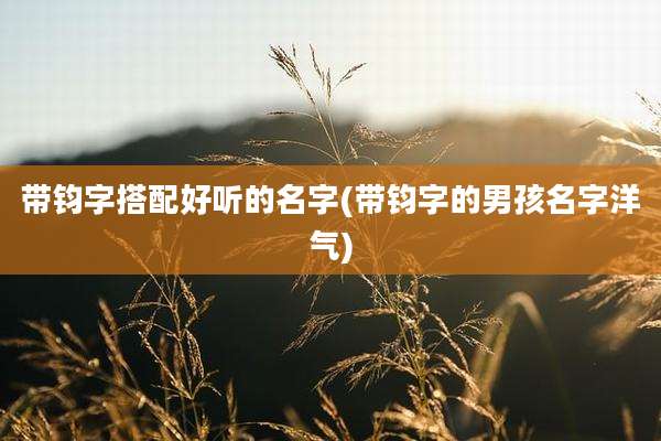 带钧字搭配好听的名字(带钧字的男孩名字洋气)
