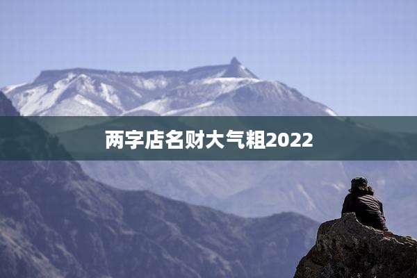 两字店名财大气粗2022
