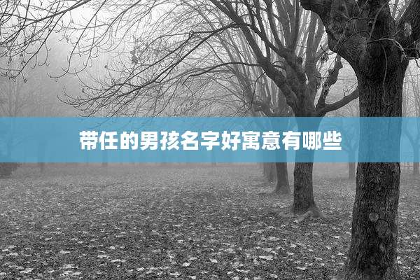 带任的男孩名字好寓意有哪些