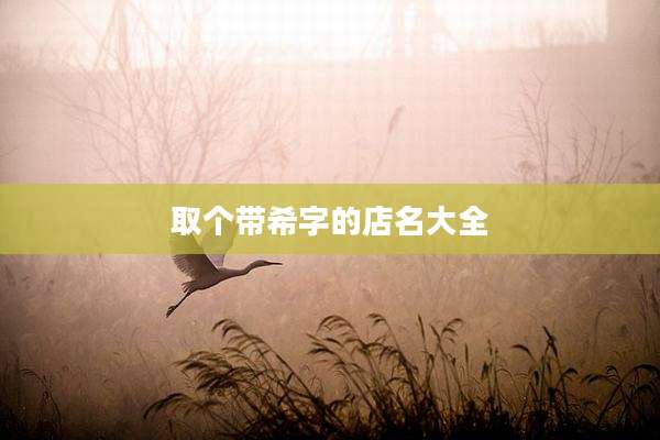 取个带希字的店名大全