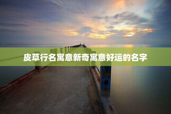 皮草行名寓意新奇寓意好运的名字