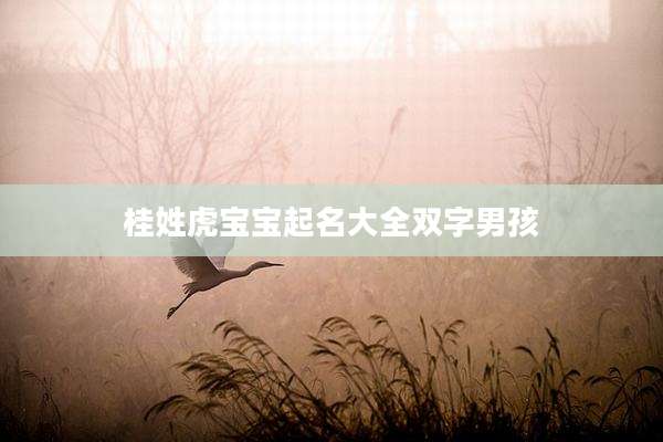 桂姓虎宝宝起名大全双字男孩