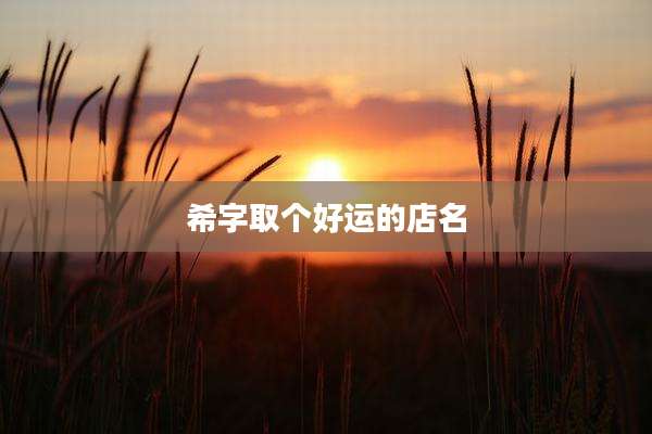希字取个好运的店名