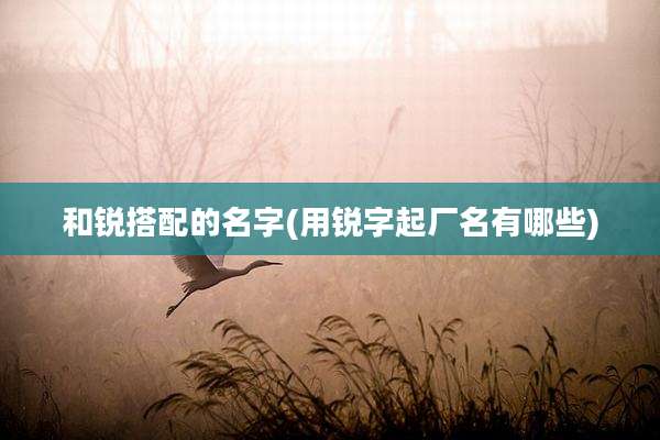 和锐搭配的名字(用锐字起厂名有哪些)