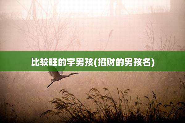 比较旺的字男孩(招财的男孩名)