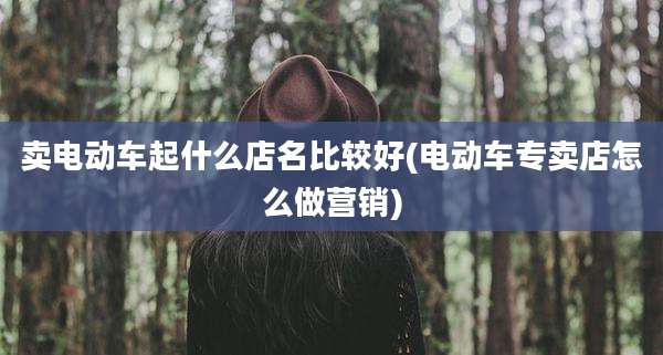 卖电动车起什么店名比较好(电动车专卖店怎么做营销)