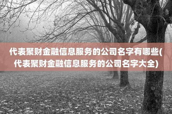 代表聚财金融信息服务的公司名字有哪些(代表聚财金融信息服务的公司名字大全)