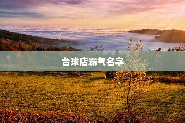 台球店霸气名字