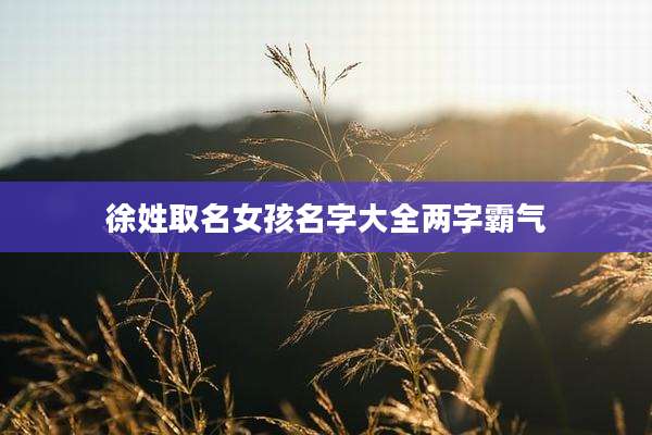 徐姓取名女孩名字大全两字霸气