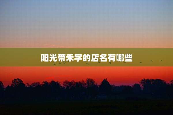 阳光带禾字的店名有哪些