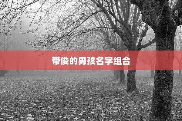 带俊的男孩名字组合