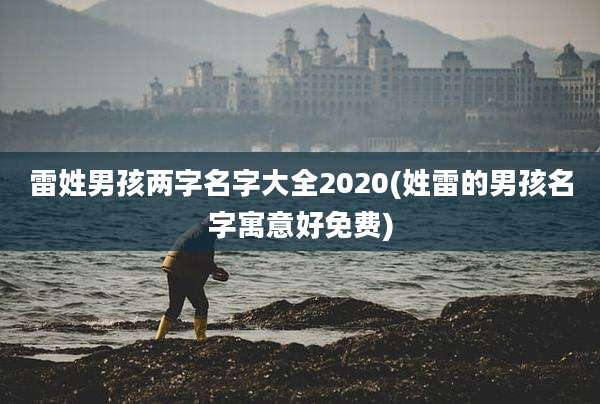 雷姓男孩两字名字大全2020(姓雷的男孩名字寓意好免费)