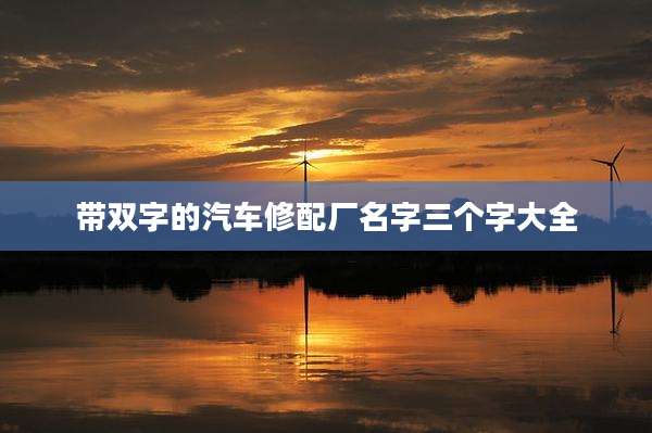 带双字的汽车修配厂名字三个字大全