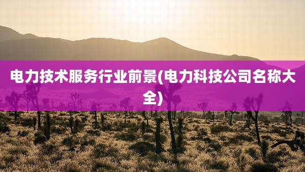 电力技术服务行业前景(电力科技公司名称大全)