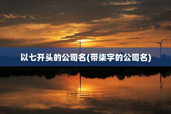 以七开头的公司名(带柒字的公司名)