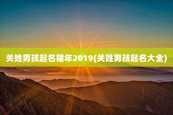 关姓男孩起名猪年2019(关姓男孩起名大全)