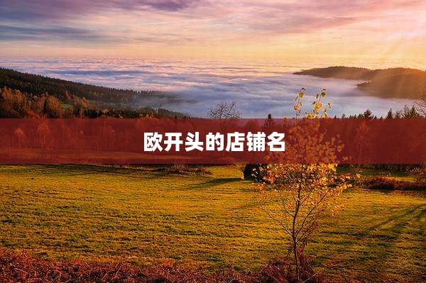 欧开头的店铺名
