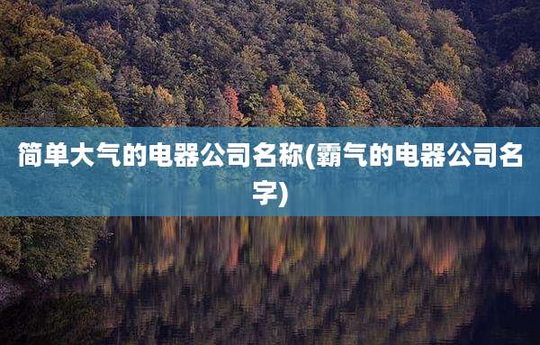 简单大气的电器公司名称(霸气的电器公司名字)