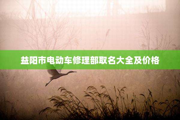 益阳市电动车修理部取名大全及价格