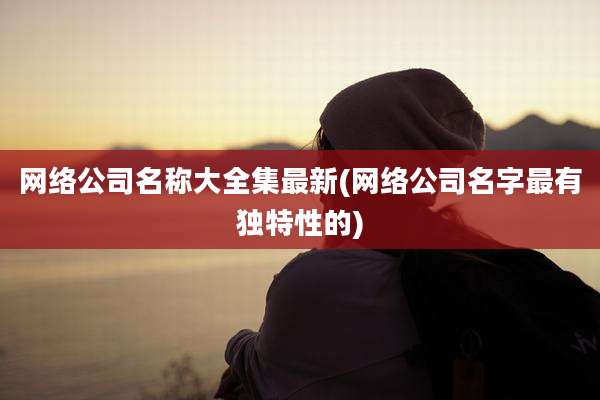 网络公司名称大全集最新(网络公司名字最有独特性的)