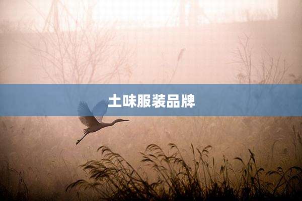 土味服装品牌