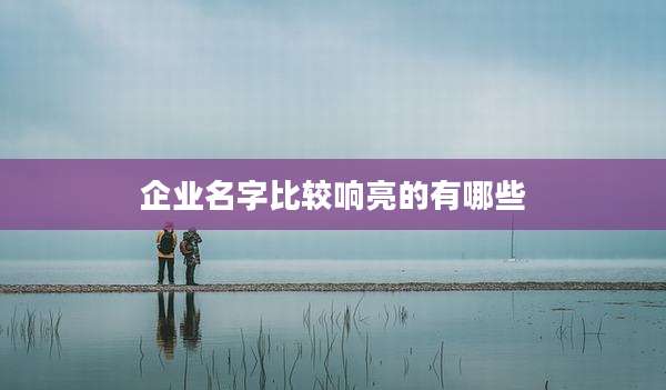 企业名字比较响亮的有哪些