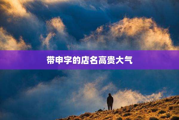 带申字的店名高贵大气