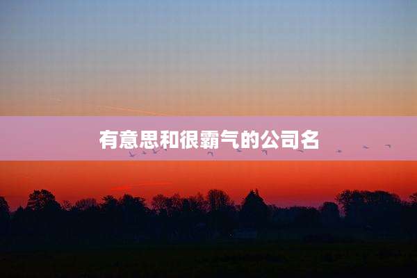 有意思和很霸气的公司名