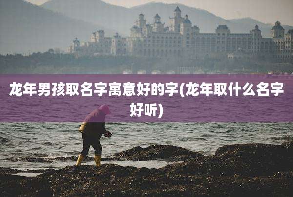 龙年男孩取名字寓意好的字(龙年取什么名字好听)