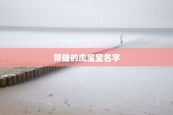 带雄的虎宝宝名字