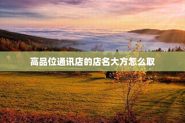 高品位通讯店的店名大方怎么取