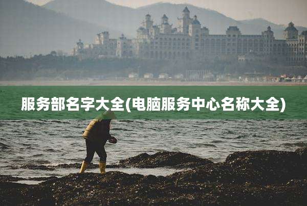 服务部名字大全(电脑服务中心名称大全)