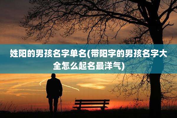 姓阳的男孩名字单名(带阳字的男孩名字大全怎么起名最洋气)