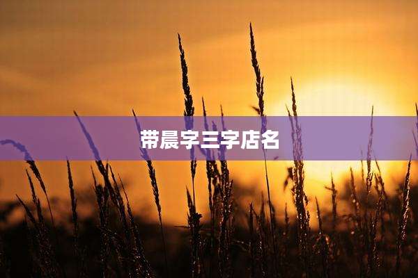 带晨字三字店名