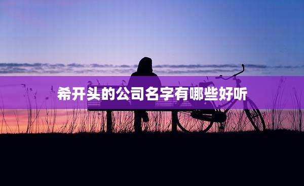 希开头的公司名字有哪些好听