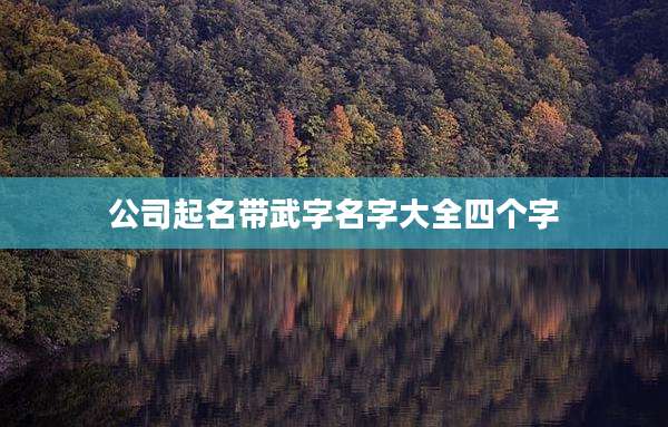 公司起名带武字名字大全四个字
