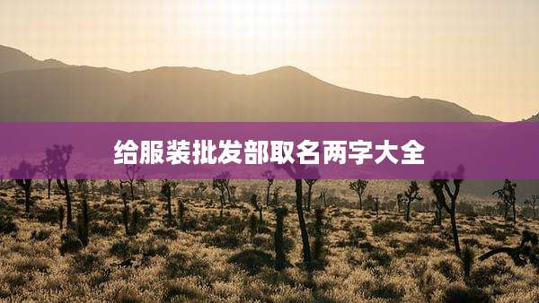 给服装批发部取名两字大全