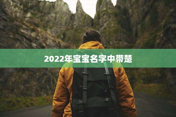 2022年宝宝名字中带楚