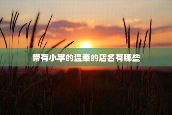 带有小字的温柔的店名有哪些
