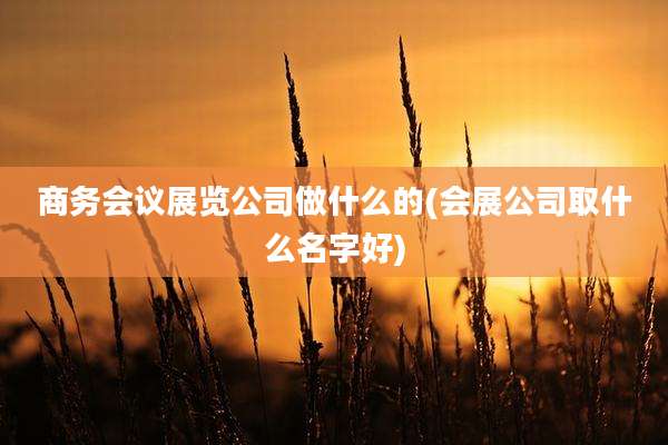 商务会议展览公司做什么的(会展公司取什么名字好)