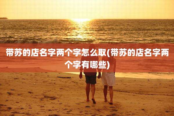带苏的店名字两个字怎么取(带苏的店名字两个字有哪些)