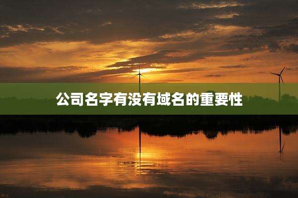 公司名字有没有域名的重要性