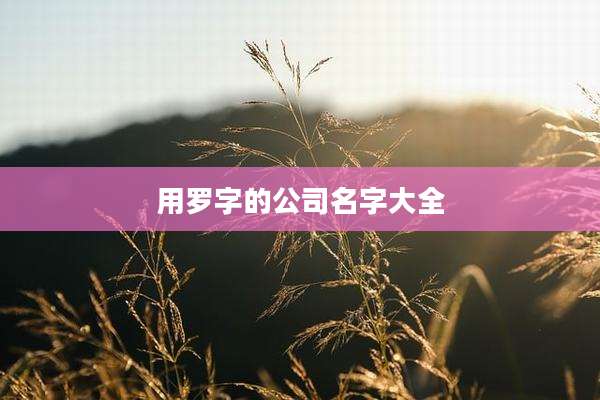 用罗字的公司名字大全