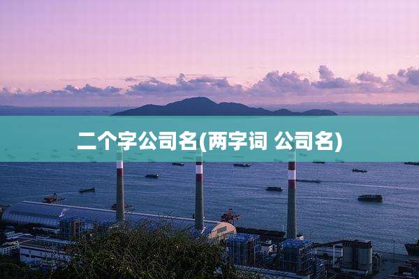 二个字公司名(两字词 公司名)