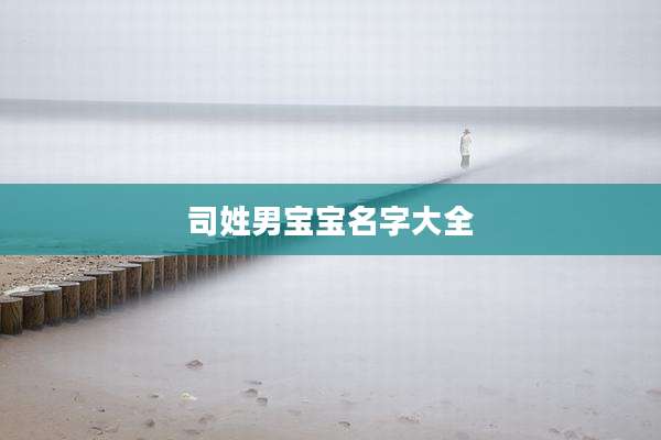 司姓男宝宝名字大全